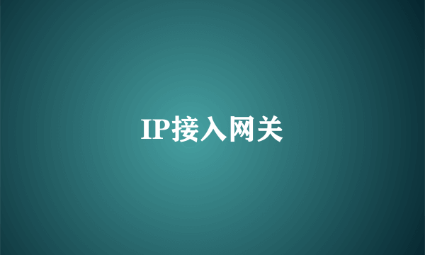 IP接入网关