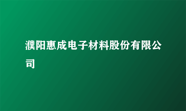 濮阳惠成电子材料股份有限公司