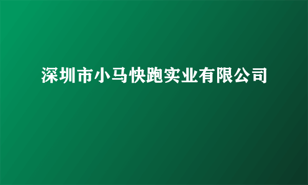 深圳市小马快跑实业有限公司