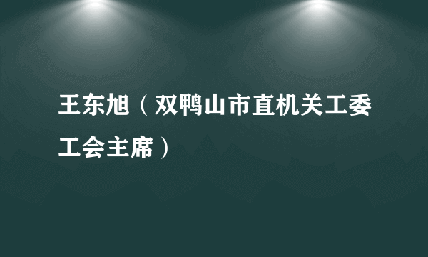 王东旭（双鸭山市直机关工委工会主席）