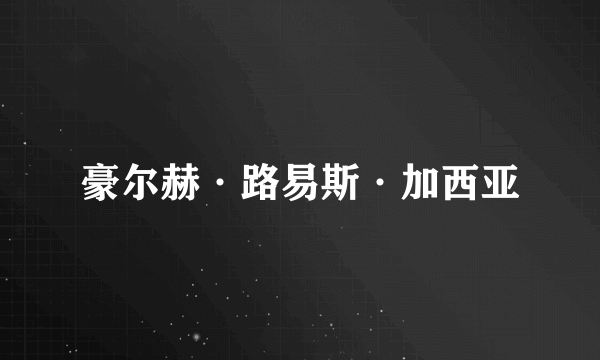 豪尔赫·路易斯·加西亚