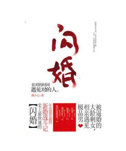 闪婚（2010年云南人民出版社出版的图书）