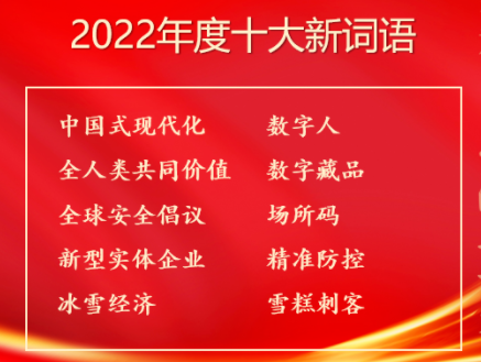 2022年度十大新词语