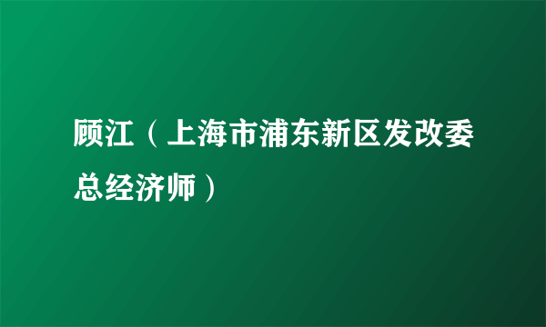 顾江（上海市浦东新区发改委总经济师）