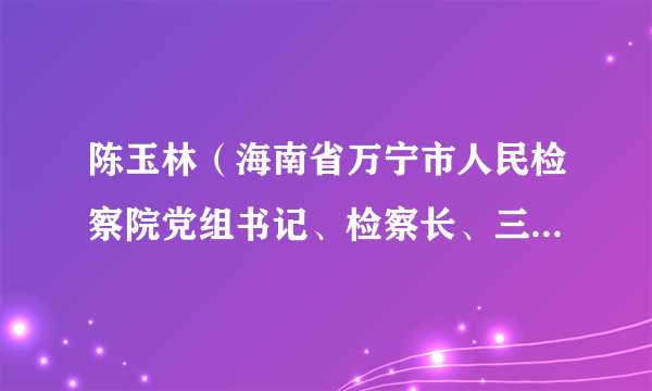 陈玉林（海南省万宁市人民检察院党组书记、检察长、三级高级检察官）