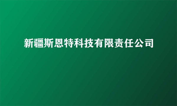 新疆斯恩特科技有限责任公司