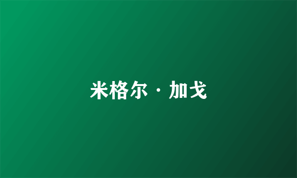 米格尔·加戈