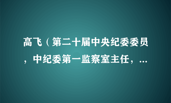 高飞（第二十届中央纪委委员，中纪委第一监察室主任，中央第十四巡视组组长）