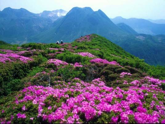 杜鹃山景区（赤峰市旅游景区）