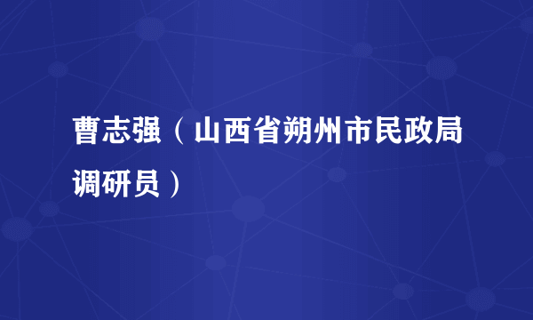 曹志强（山西省朔州市民政局调研员）