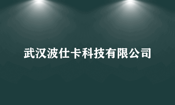 武汉波仕卡科技有限公司