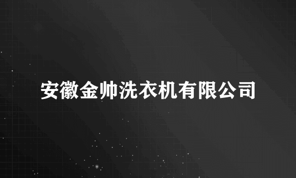 安徽金帅洗衣机有限公司