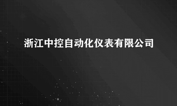 浙江中控自动化仪表有限公司