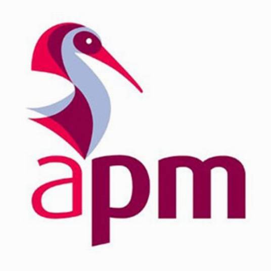 APM（英国项目管理协会）