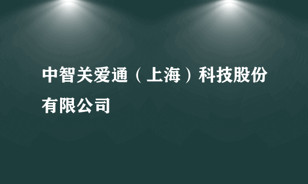 中智关爱通（上海）科技股份有限公司