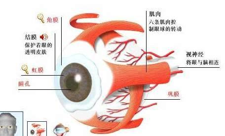 麻痹性内斜视