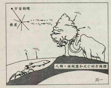 放射性碳定年法