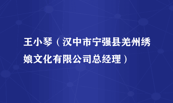 王小琴（汉中市宁强县羌州绣娘文化有限公司总经理）