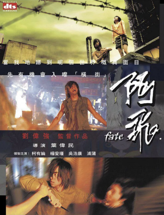 阿飞（2008年叶伟民执导的剧情电影）