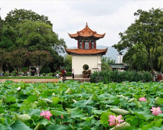 昆明莲花池