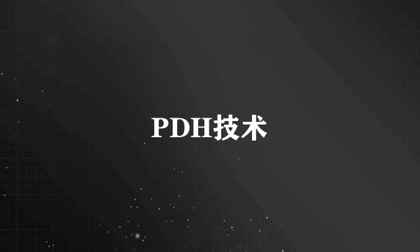 PDH技术