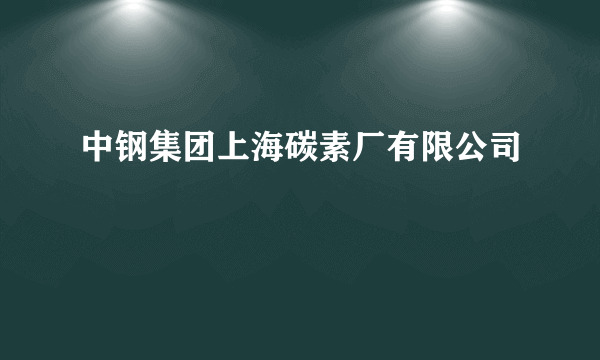 中钢集团上海碳素厂有限公司