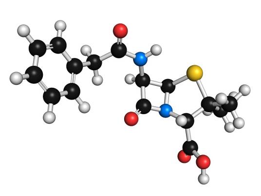 青霉素类