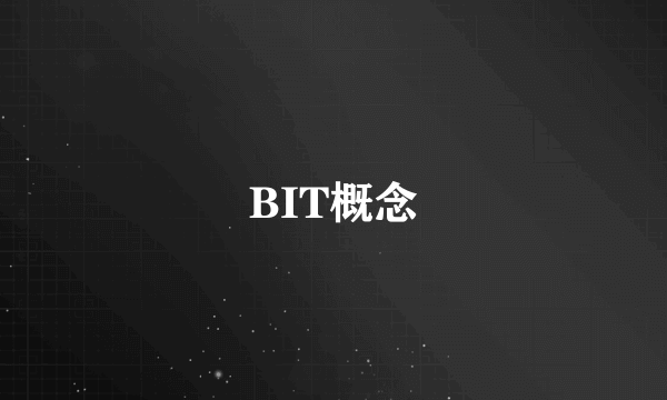 BIT概念