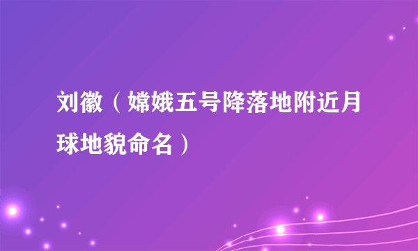 刘徽（嫦娥五号降落地附近月球地貌命名）