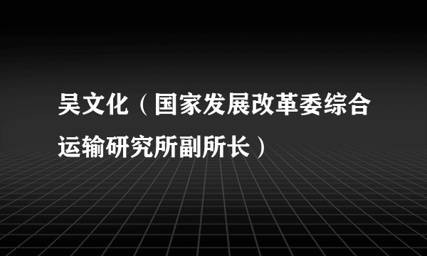 吴文化（国家发展改革委综合运输研究所副所长）