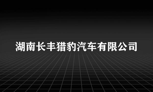 湖南长丰猎豹汽车有限公司