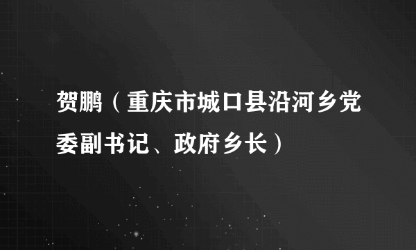 贺鹏（重庆市城口县沿河乡党委副书记、政府乡长）