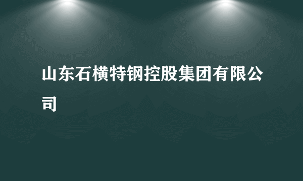 山东石横特钢控股集团有限公司