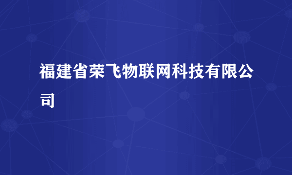 福建省荣飞物联网科技有限公司