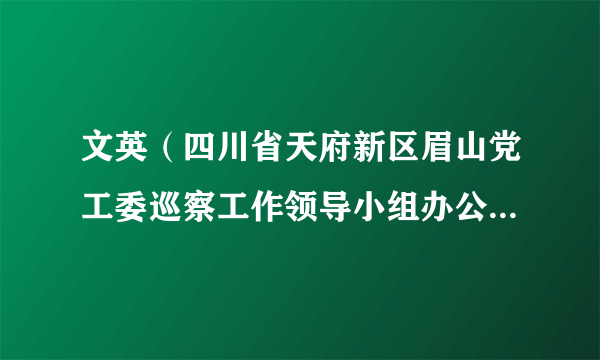 文英（四川省天府新区眉山党工委巡察工作领导小组办公室主任、四级调研员）