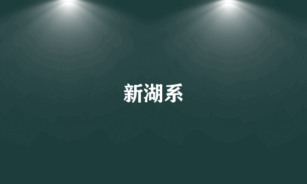 新湖系