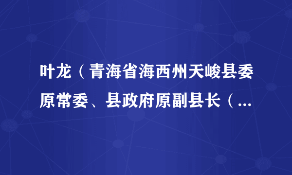 叶龙（青海省海西州天峻县委原常委、县政府原副县长（挂职））