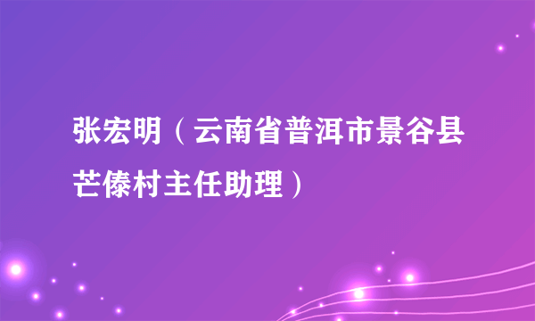 张宏明（云南省普洱市景谷县芒傣村主任助理）