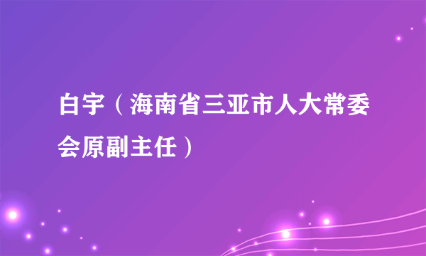 白宇（海南省三亚市人大常委会原副主任）