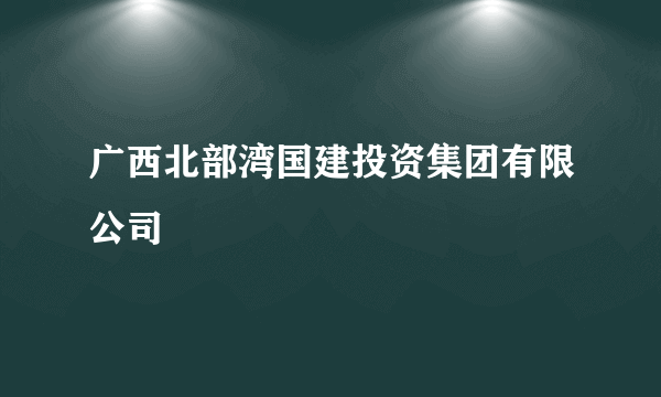 广西北部湾国建投资集团有限公司