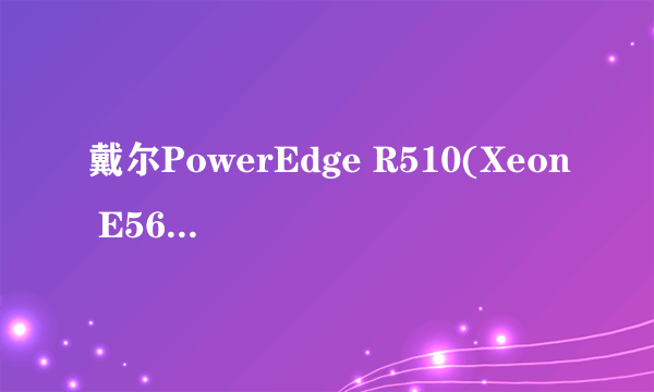 戴尔PowerEdge R510(Xeon E5620*2/24GB/2TB*12)