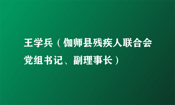 王学兵（伽师县残疾人联合会党组书记、副理事长）