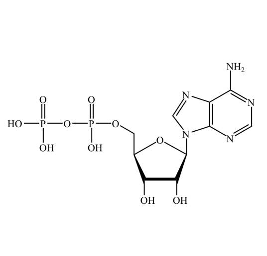 二磷酸腺苷