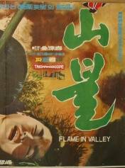 山火（韩国1967年金洙容执导的剧情电影）