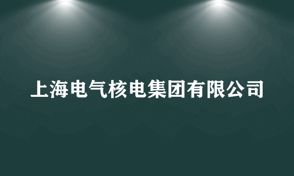 上海电气核电集团有限公司