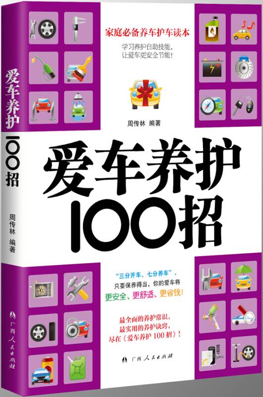 爱车养护100招（家庭必备养车护车读本！）