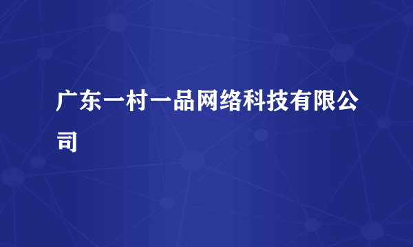 广东一村一品网络科技有限公司