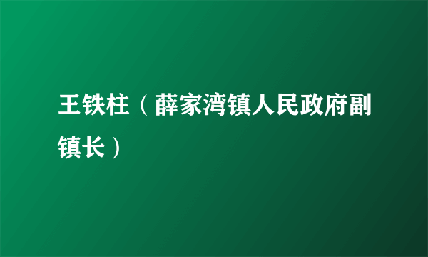 王铁柱（薛家湾镇人民政府副镇长）