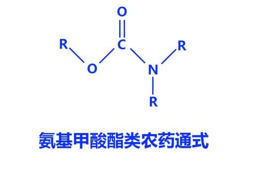 氨基甲酸酯类化合物