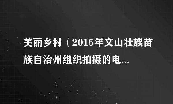 美丽乡村（2015年文山壮族苗族自治州组织拍摄的电视纪录片）